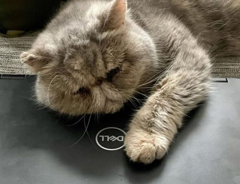 which gym should i go to lwspeakfit