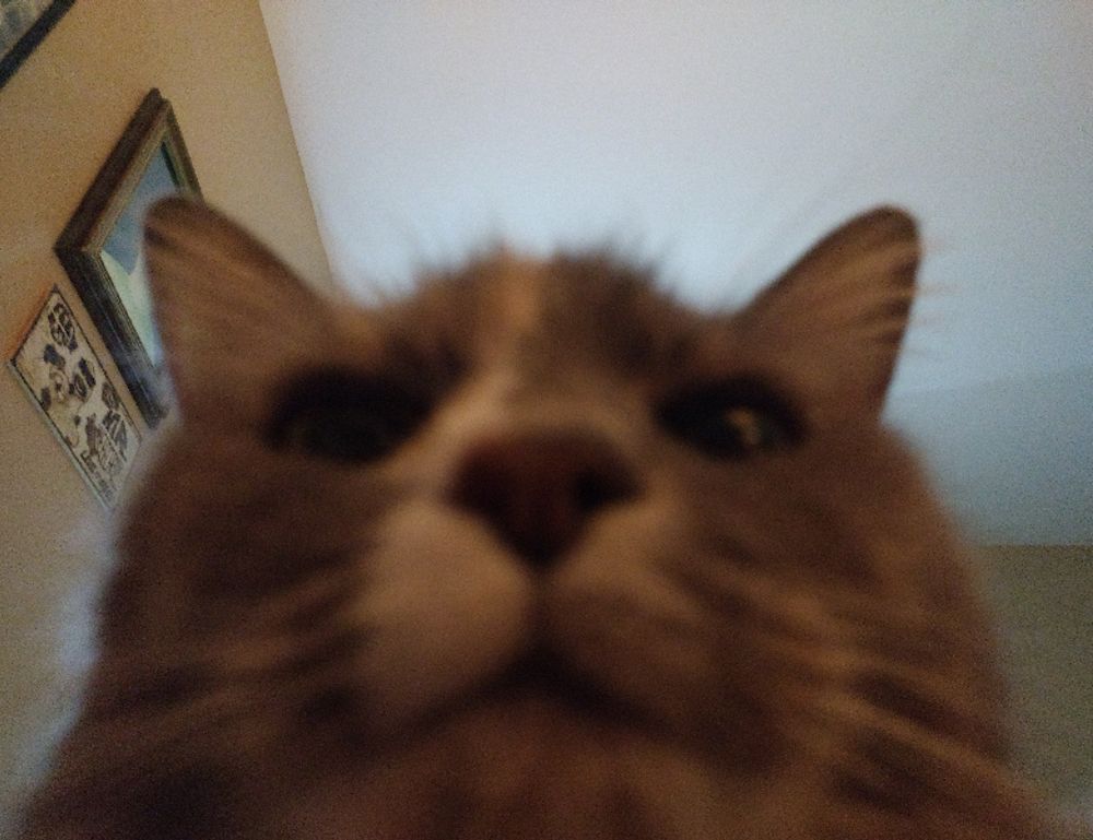 which medicine makes you drowsy shmgmedicine