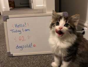 why health is so important shmghealth