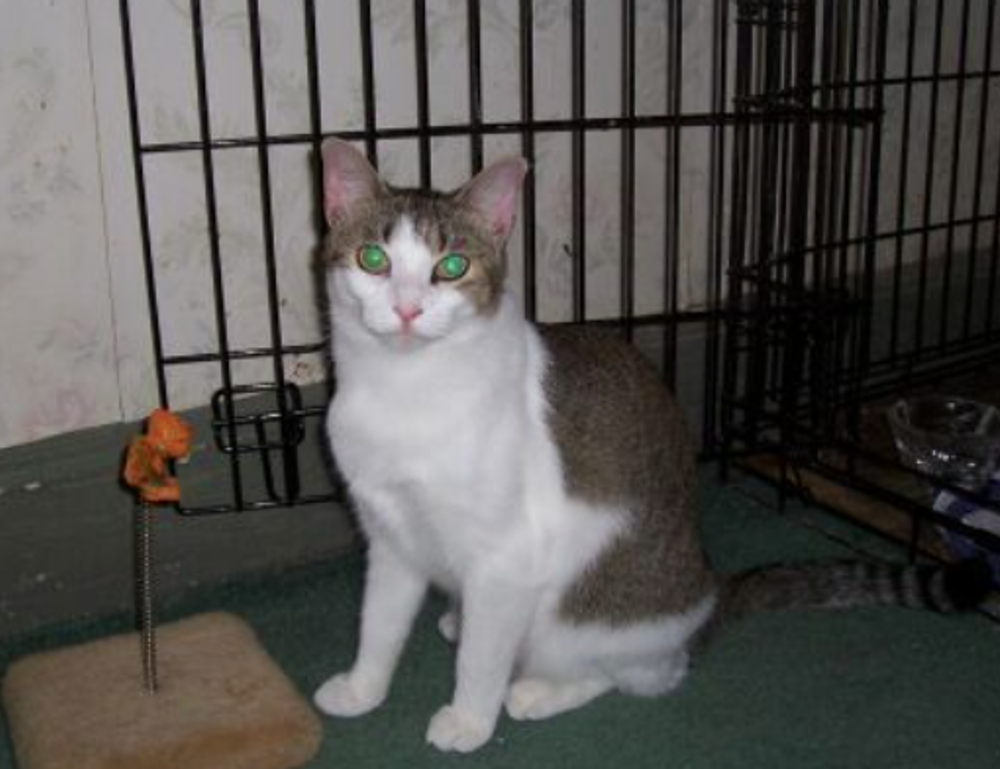 workplace guide ewmagwork