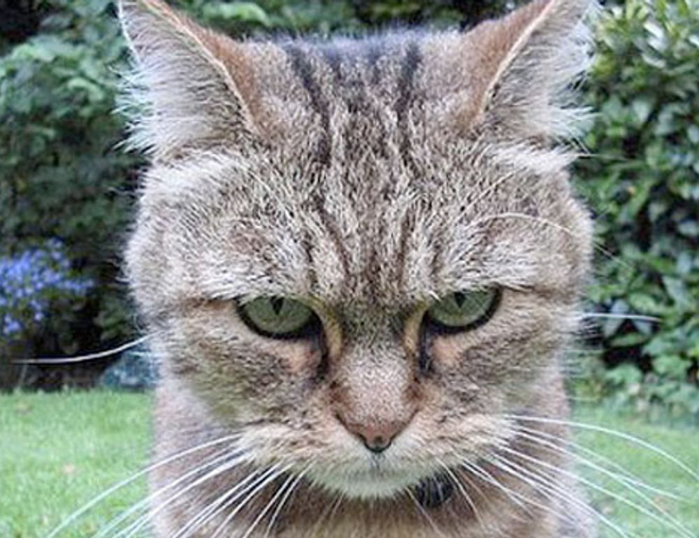 workplace management ewmagwork