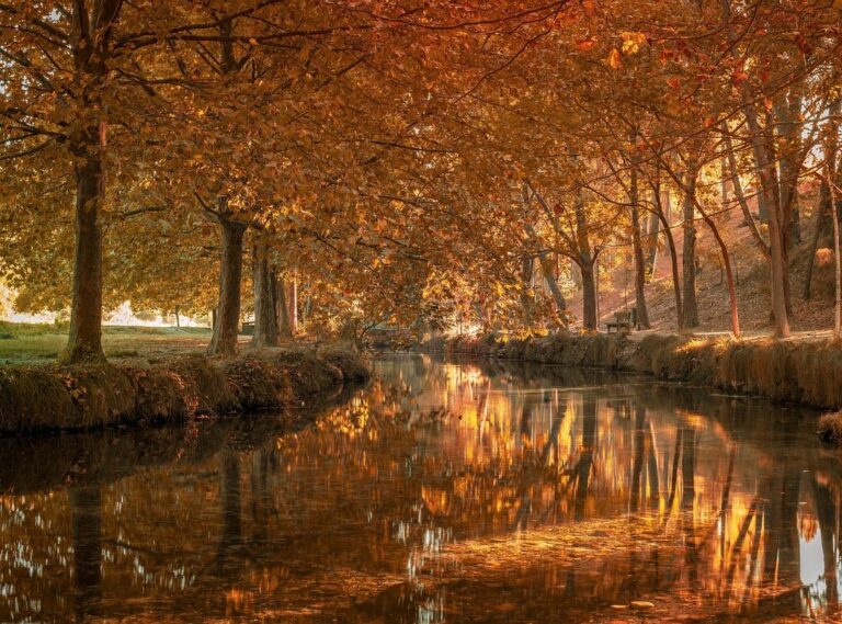 imagenes de oraciones bimembres