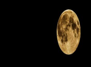 luna togel