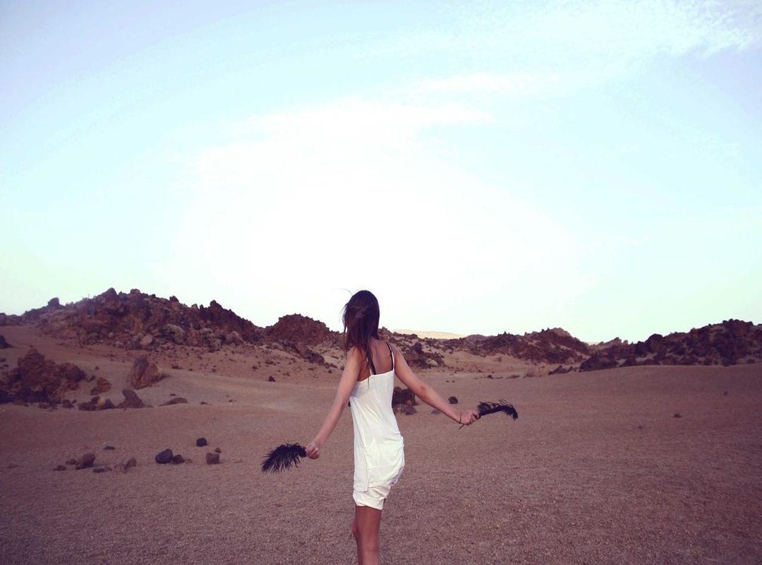 Banks vs. Currency Specialists: A Side-by-Side Comparison