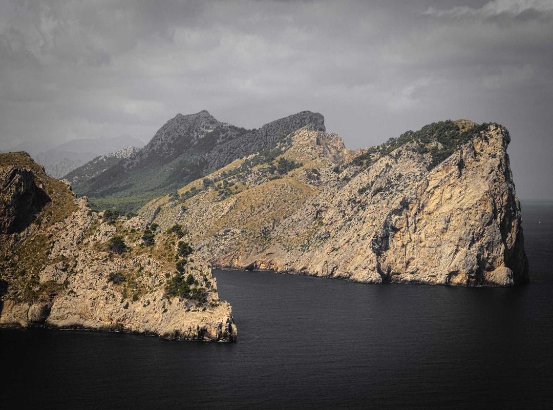 What to Look For: Key Considerations When Choosing a Cinnamoroll T-Shirt