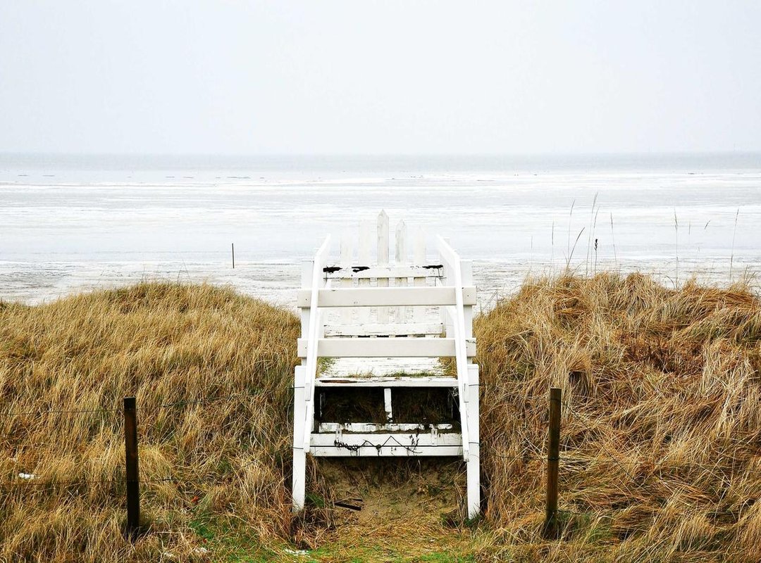 Context is Key: When to Use DTM (And When Not To)