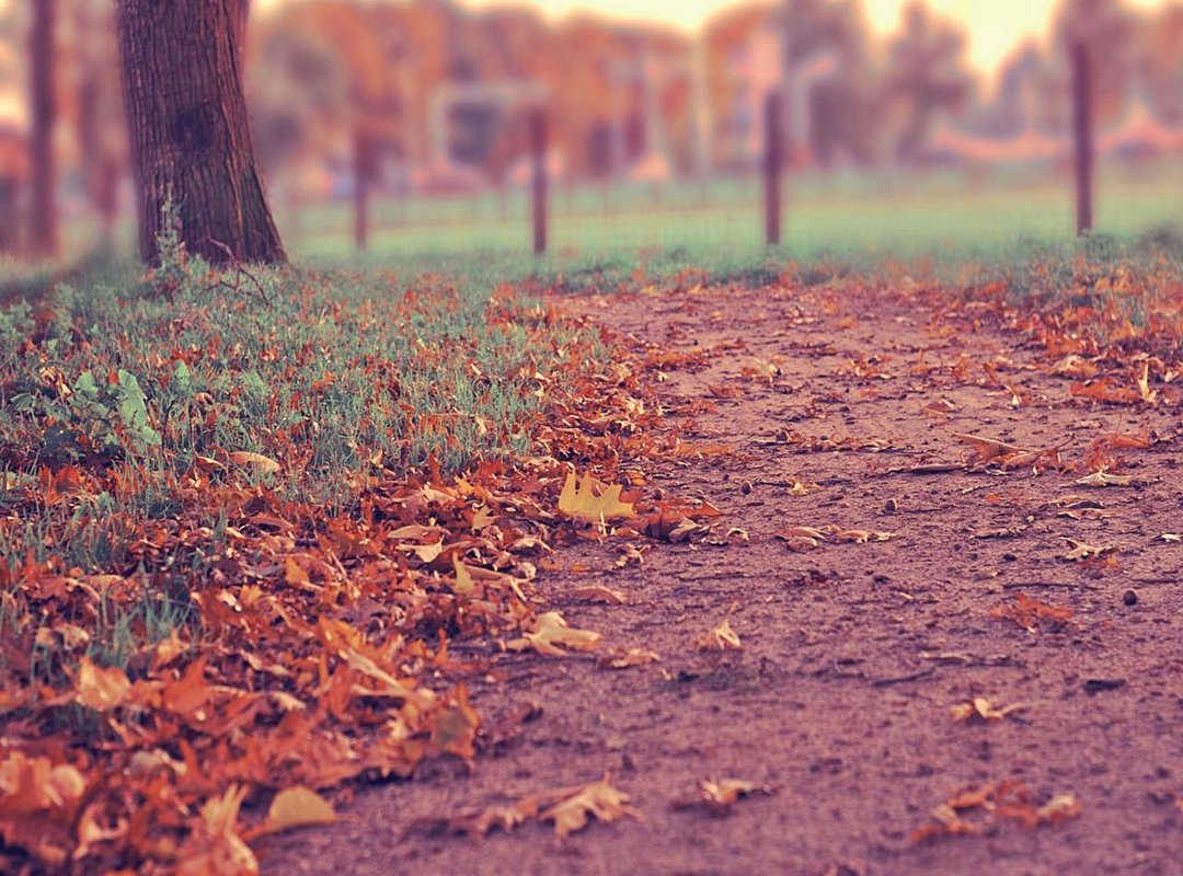 How to Get Started with Fardardom: A Quick Guide