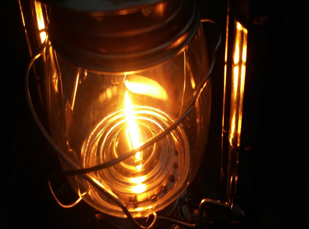 Explore Our Most Popular Pokémon Designs