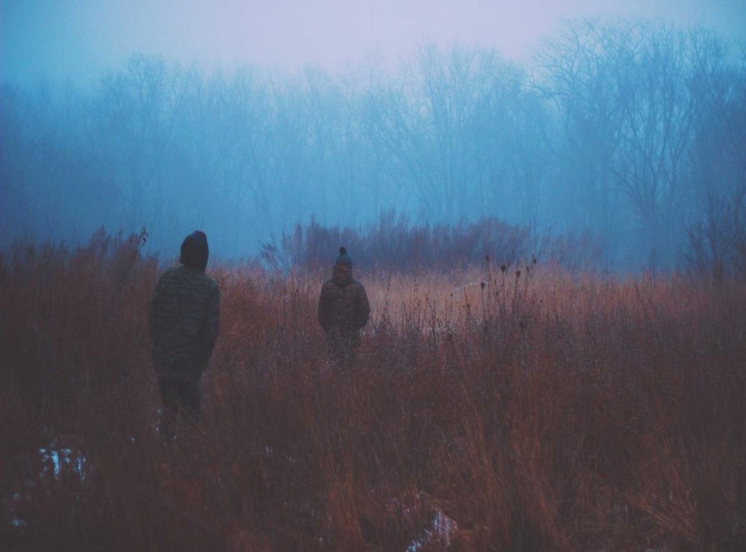 Why We Can't Stop Laughing: The Psychology Behind the Meme