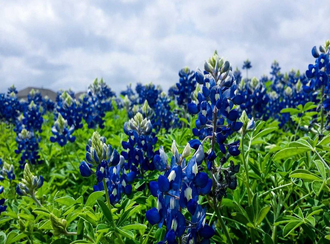 Warning Signs: How to Spot and Avoid Fake Channels