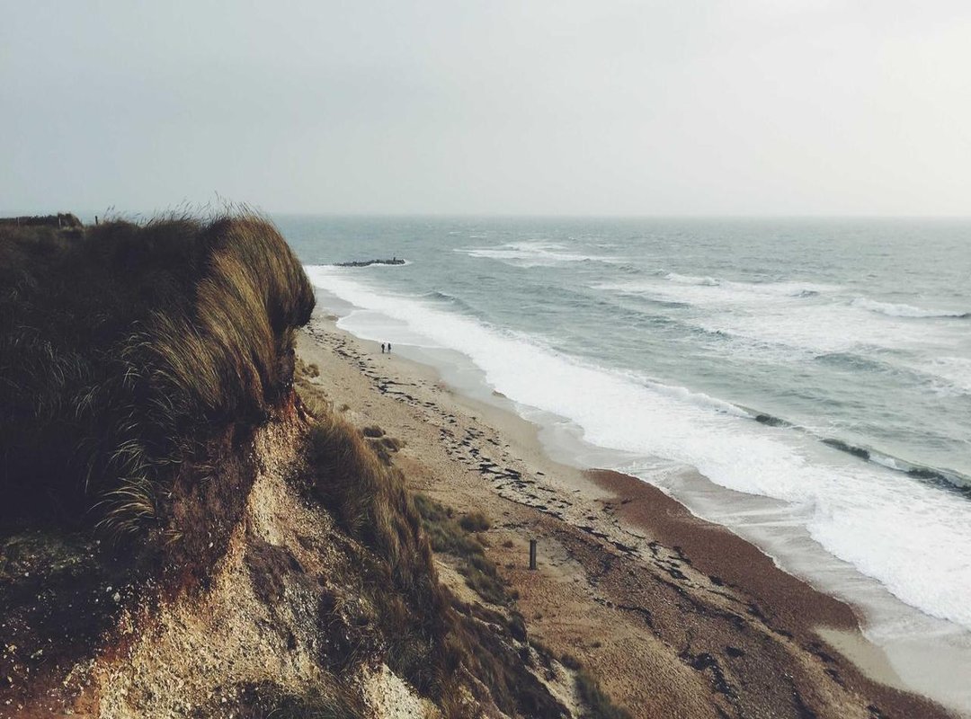 A Visual Timeline: Charting the Evolution of Van Dijk's Hair