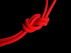 virgil van dijk zonder knot